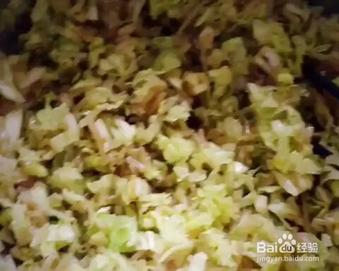 一个人做白菜粉条猪肉包