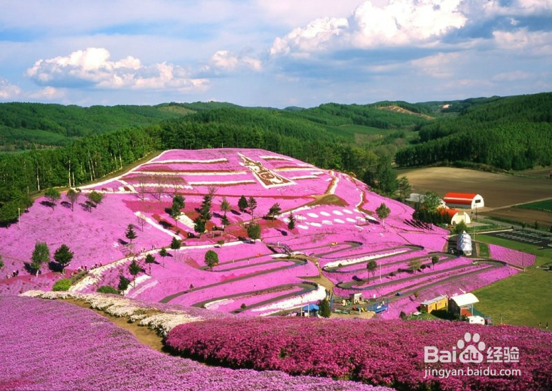 用对日本护肤品让你在北海道的夏天美如花！