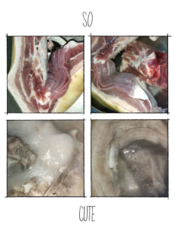 鱼腥草拌三线肉