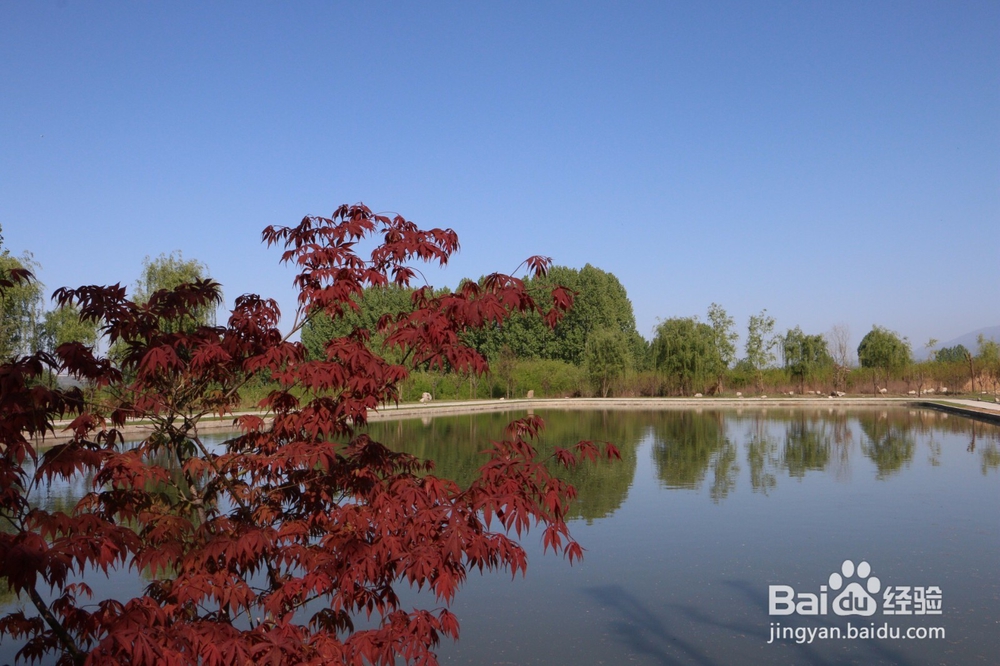 西安户外自助烧烤去那里？
