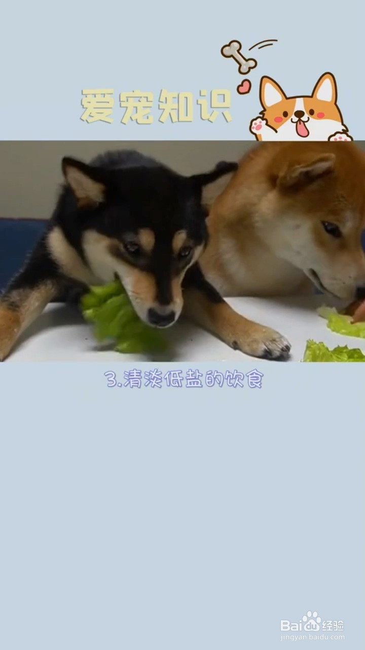 如何减少狗狗的泪痕？