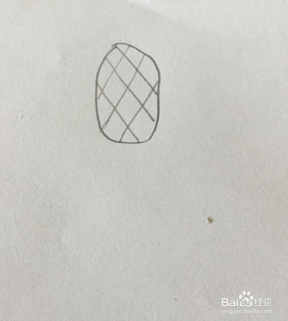 菠萝简笔画教程