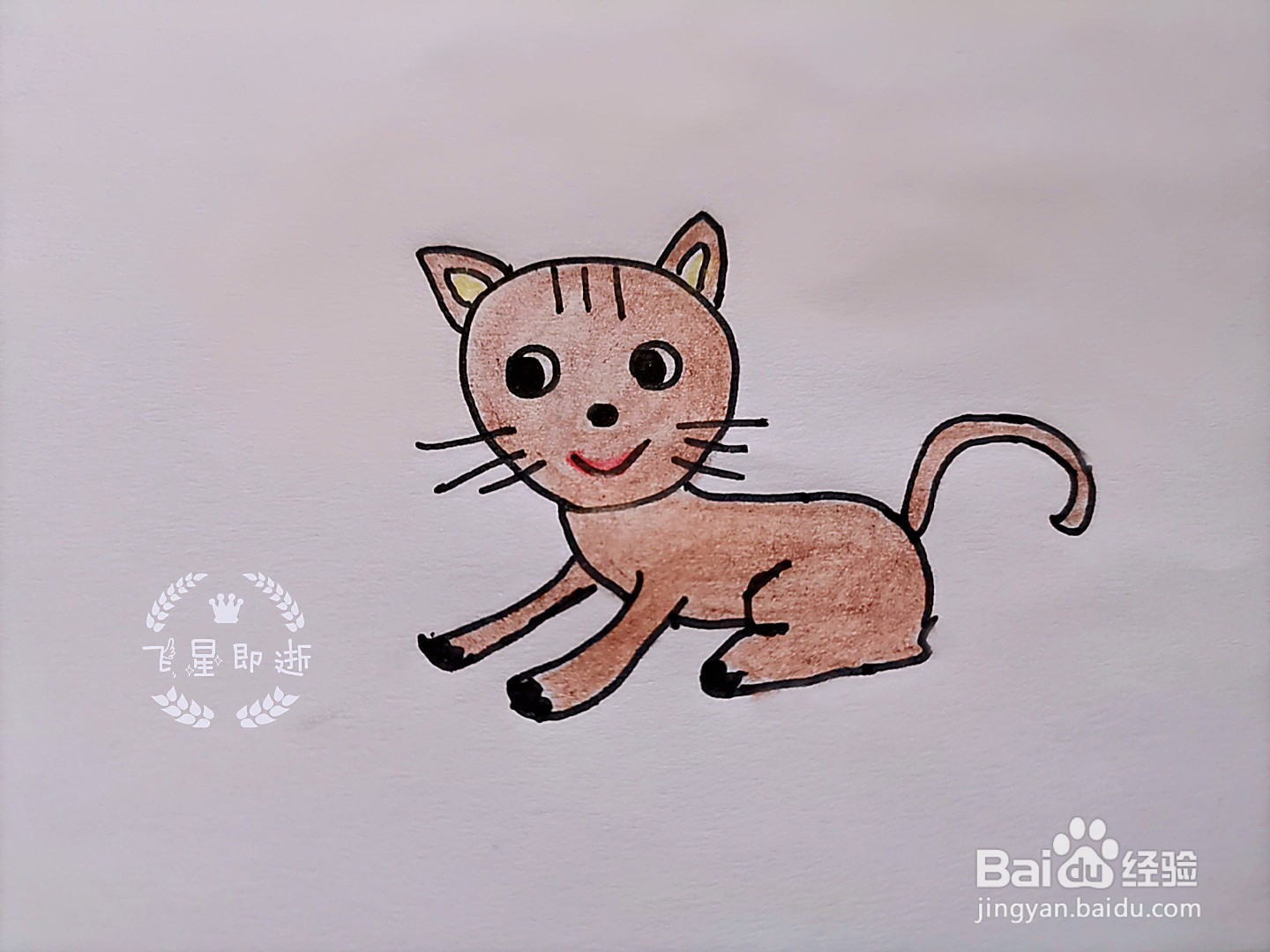 儿童简笔画 一只可爱的猫