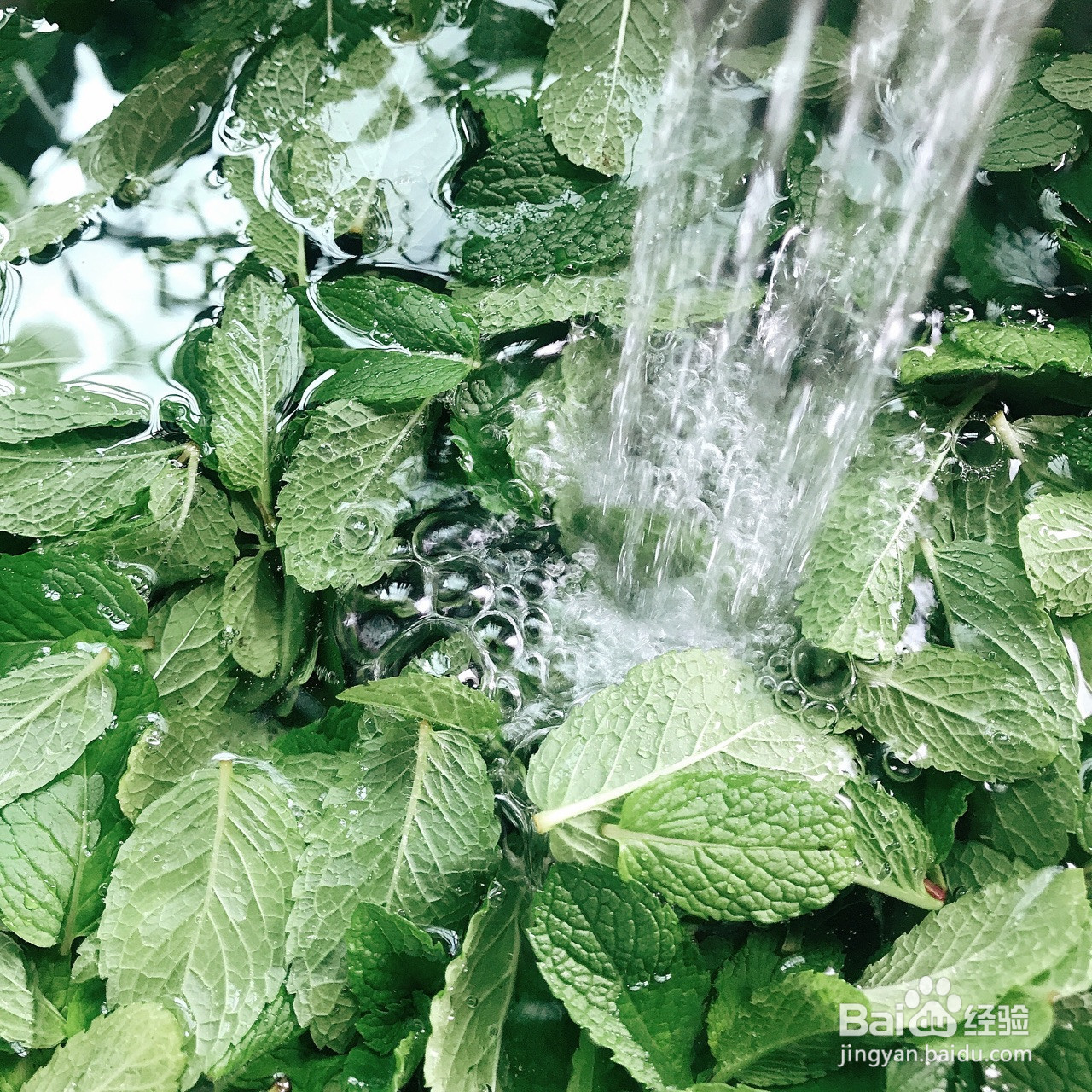 自制薄荷膏驱蚊止痒神器的做法