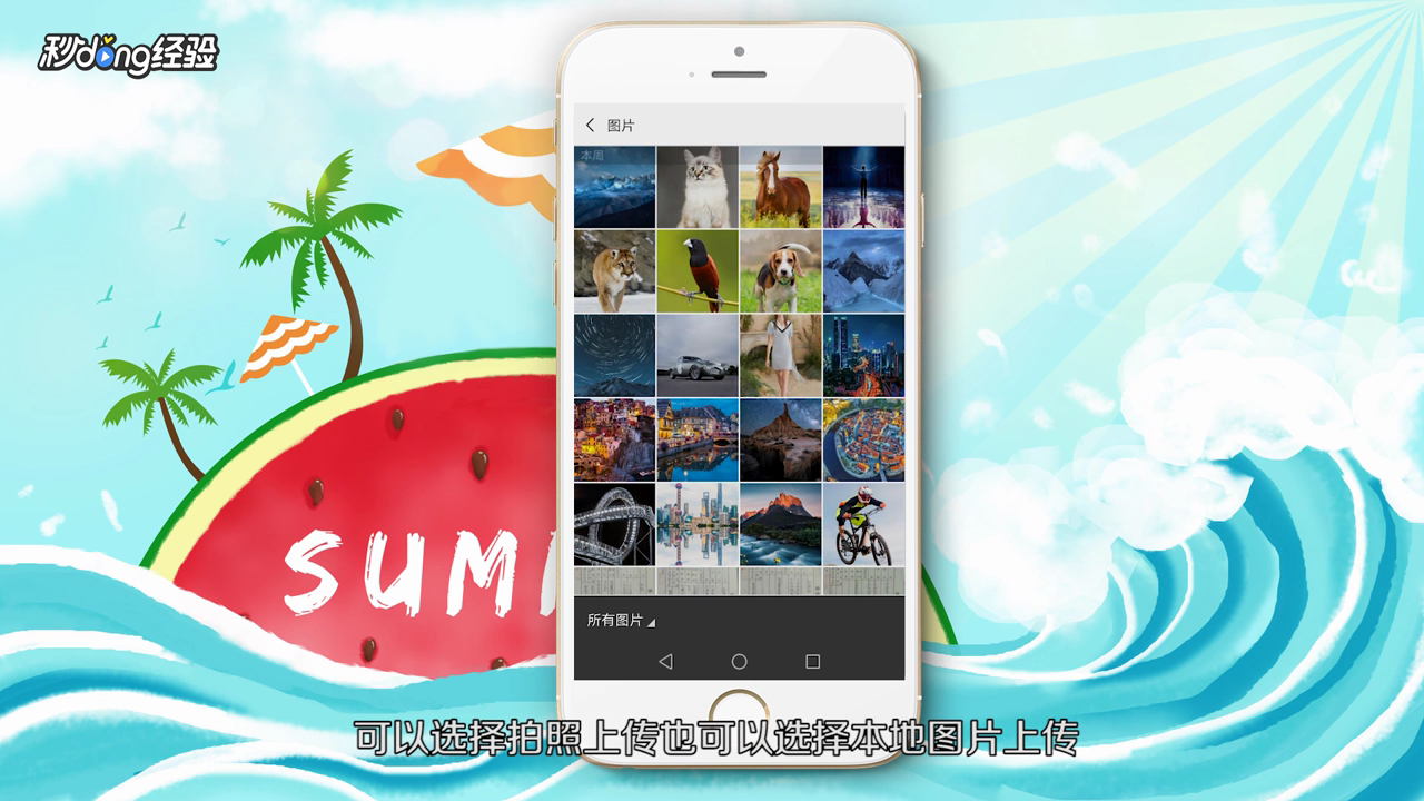 微信头像怎么放全图