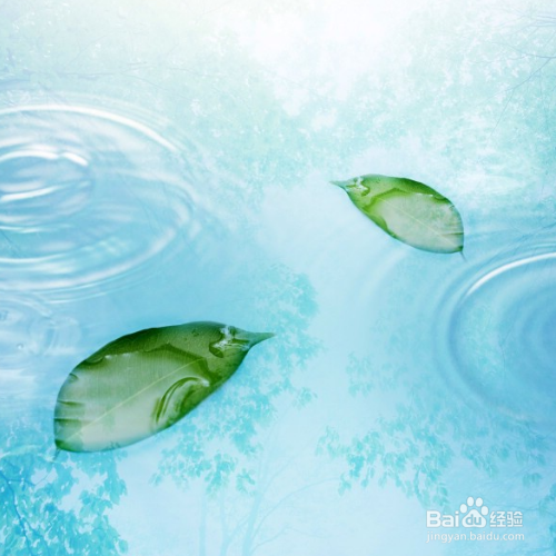 茉莉花怎样养殖，长得比较好？