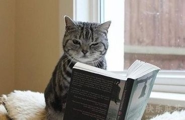 如何提高学习效率