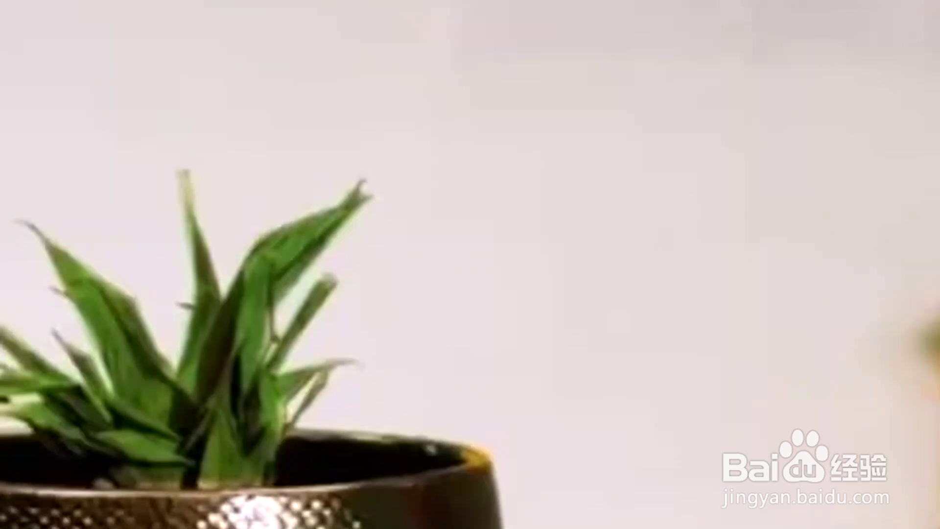 教你这些种植小妙招？