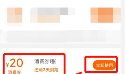 美团武汉商场消费券怎么用