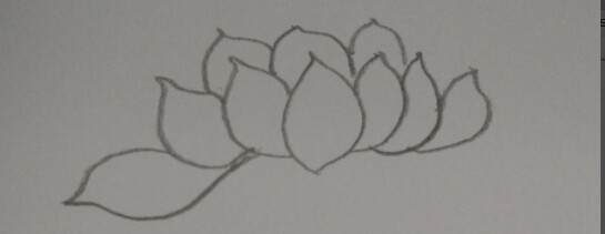 油画棒画【荷花】简单教程