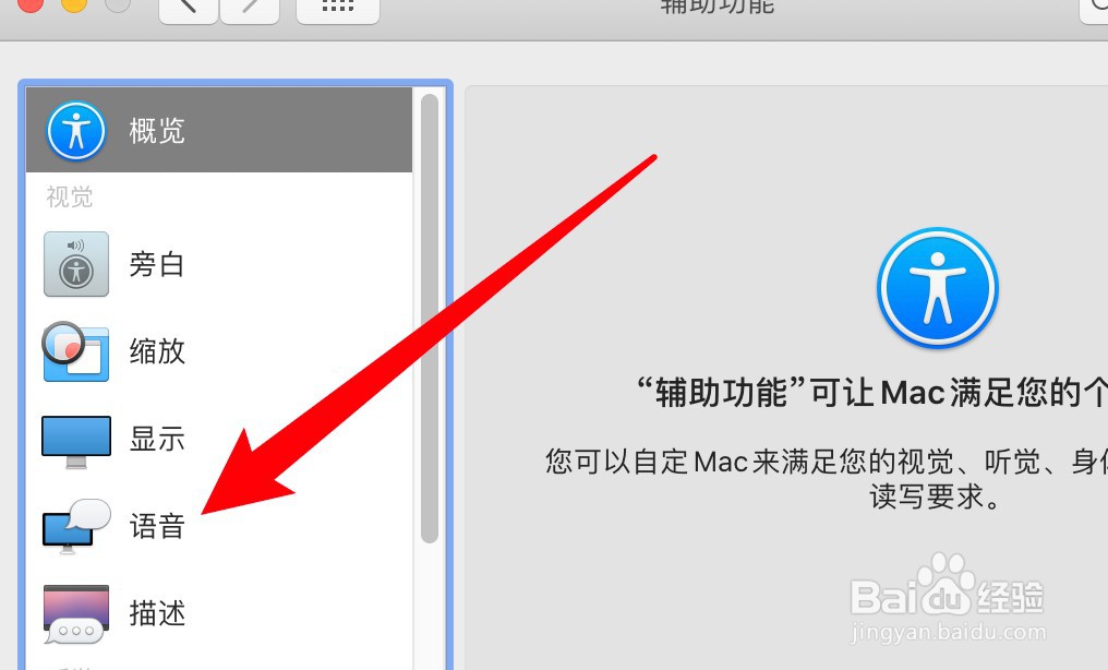 mac电脑怎么开启朗读所选文本的功能