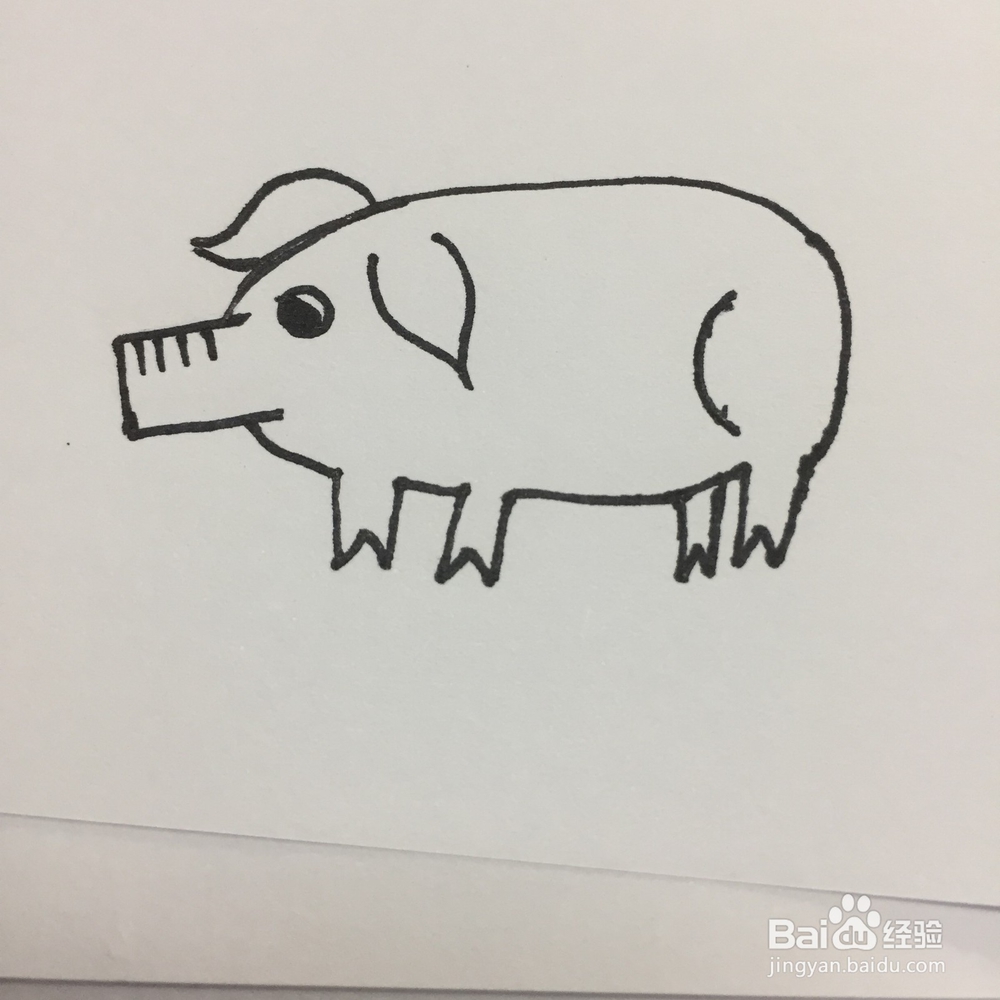 猪的简单画法