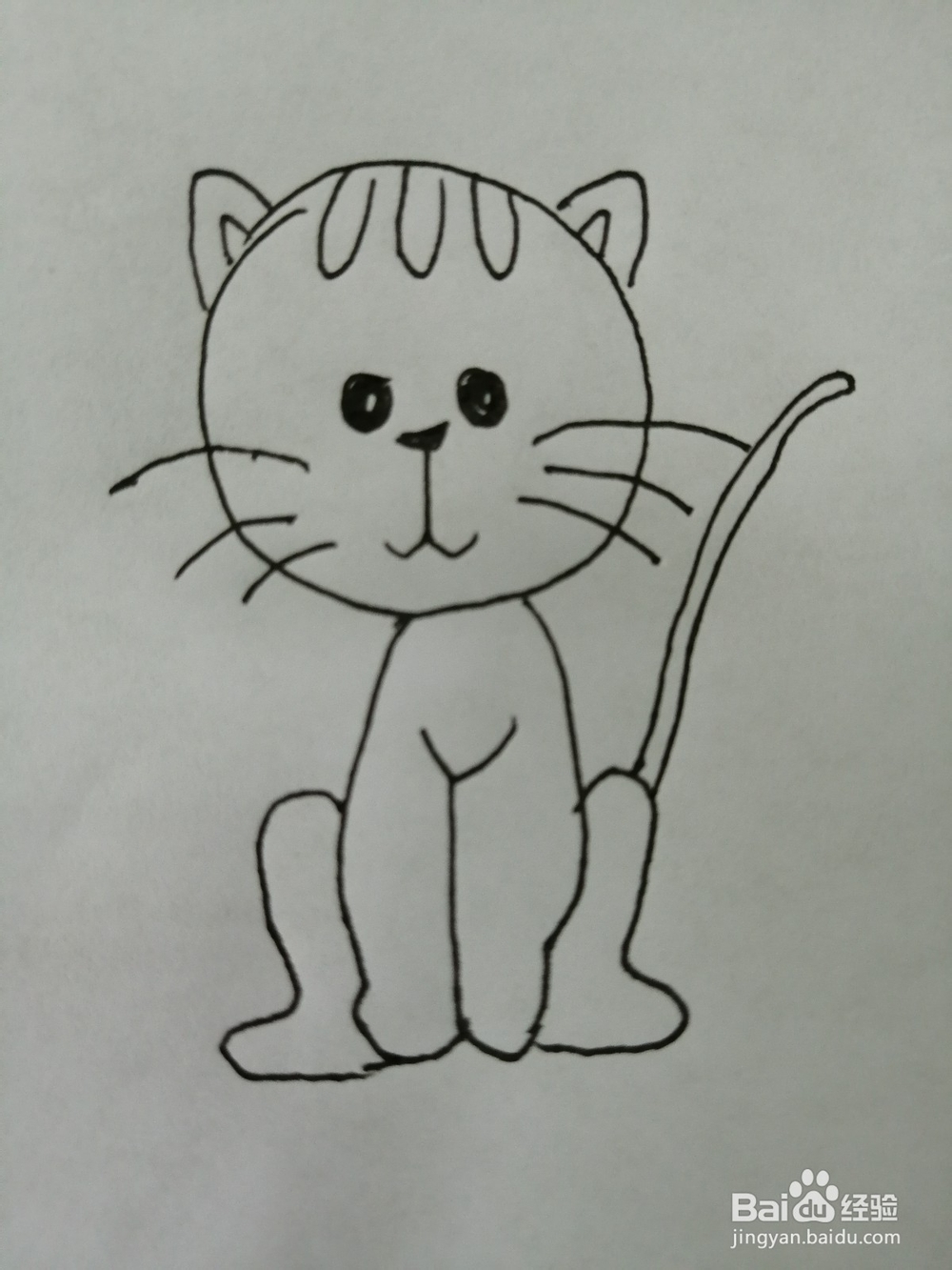 爱吃鱼的小猫咪怎么画