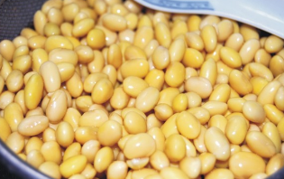 孜然香酥小黄豆