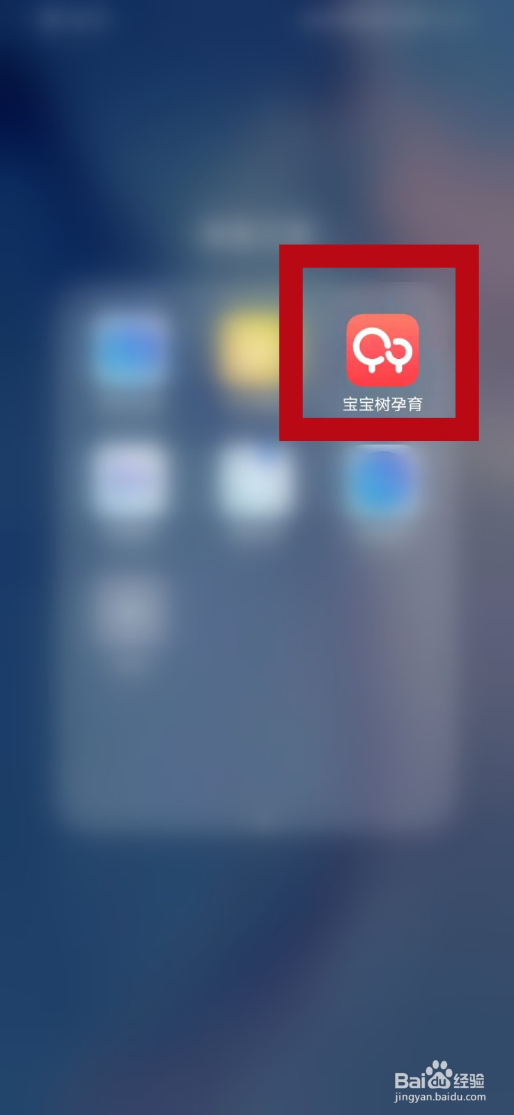 宝宝树平台服务协议内容怎么查看