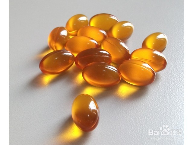 巧克力色泰迪怎么养才不褪色