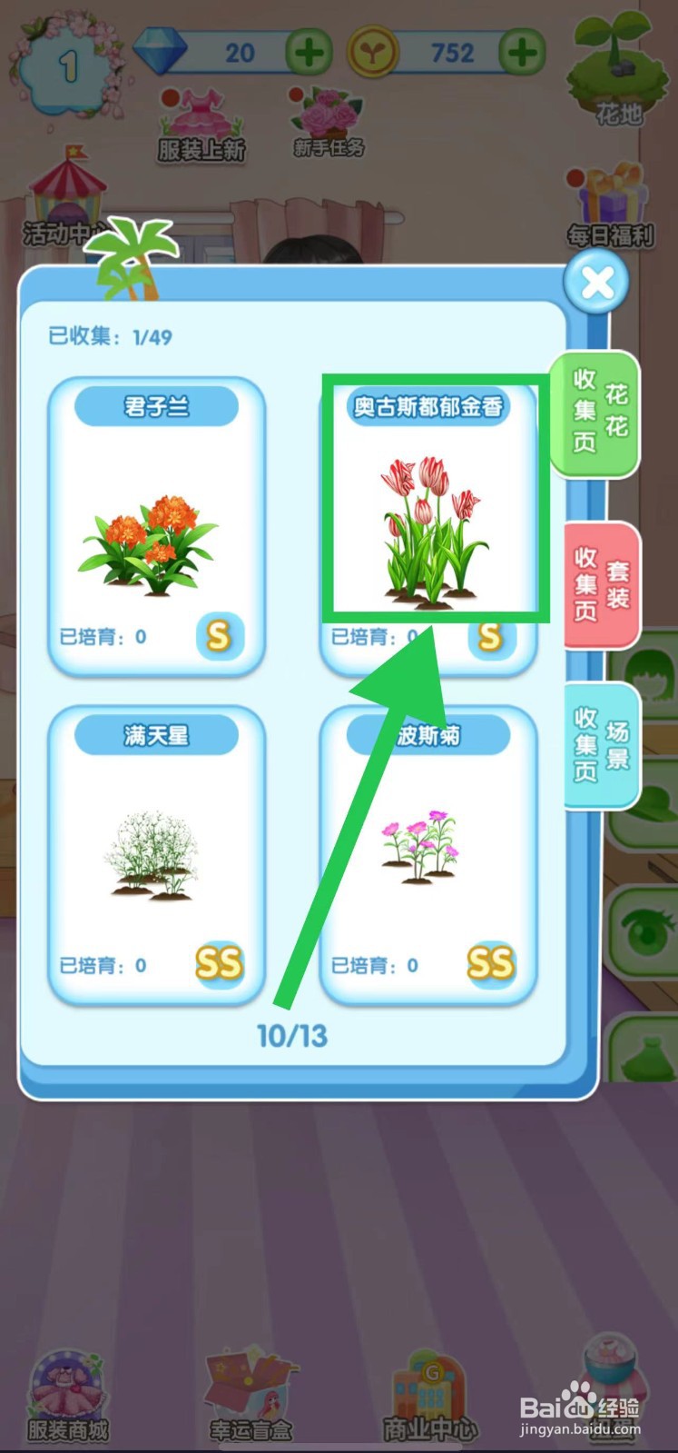 花花姑娘之魔法花园怎么查看奥古斯都郁金香简介