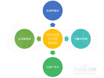 如何选择污水脱氮菌种,增加总氮去除效率?