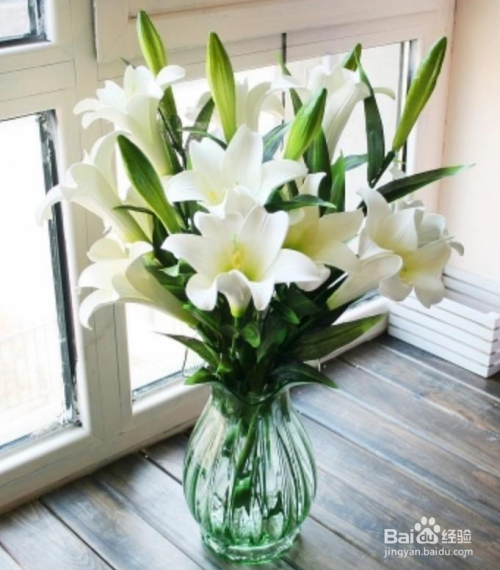 百合花插花瓶怎么养 百度经验 百合花插花瓶怎么养 百度经验