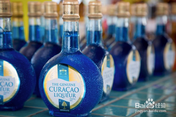 人生哪能不冒险:公主邮轮加勒比海冒险之旅攻略