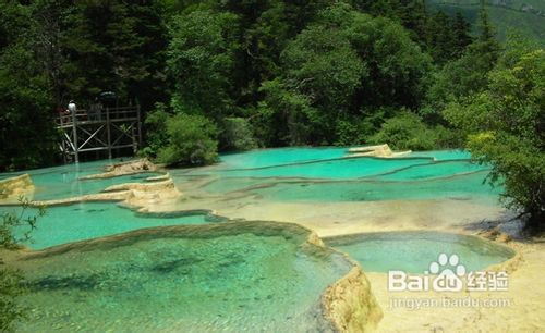 2012去九寨沟旅游攻略