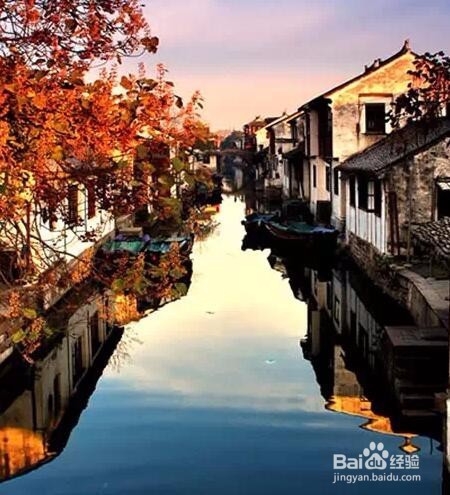 散步在周庄的发现