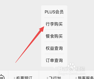 西部航空带行李技巧