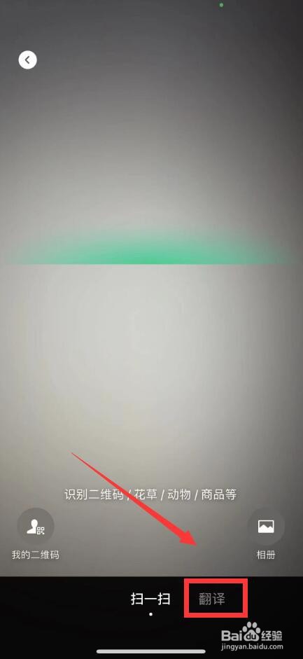 微信的拍一拍翻译在哪里