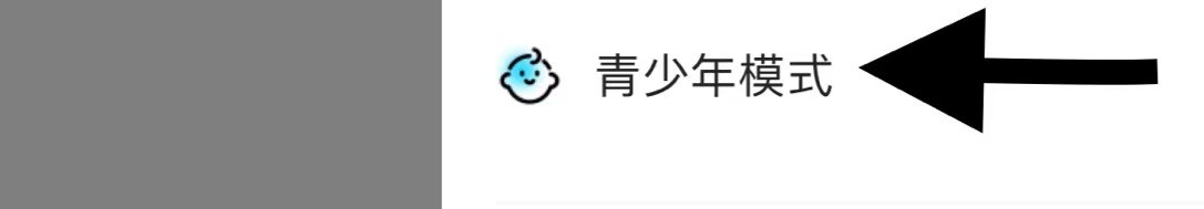 赫兹怎么开启青少年模式