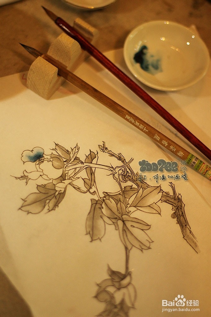 国画工笔花卉技法，起稿上色步骤图以及笔的选择