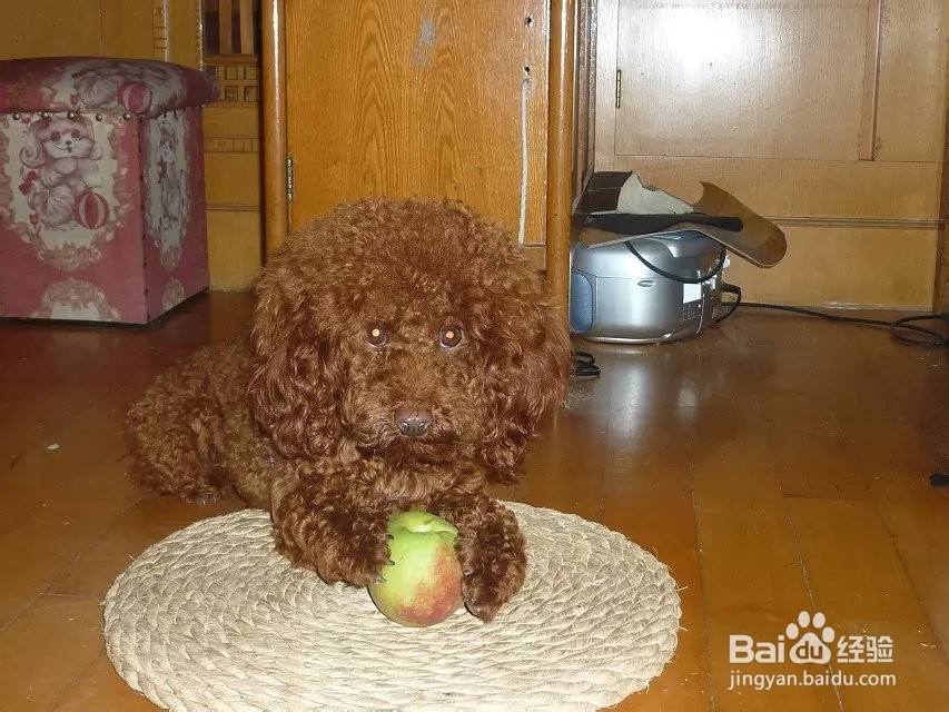 生活中的拍照技巧