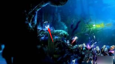 光之池的大石头怎么开