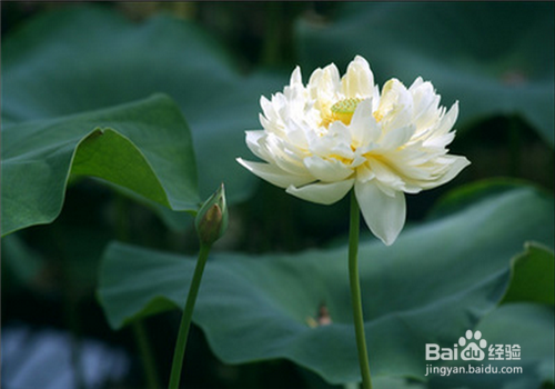 今年高考，你准备好了吗？