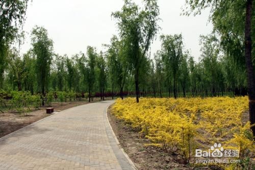 怎样防止孩子沉迷于网络游戏？