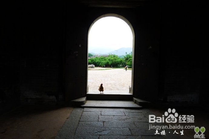 66@365【洪坑】土楼精华一日游