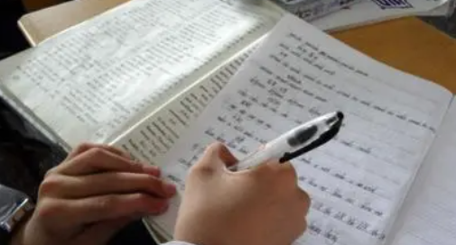 一种子旅行记写出五个种子的名字