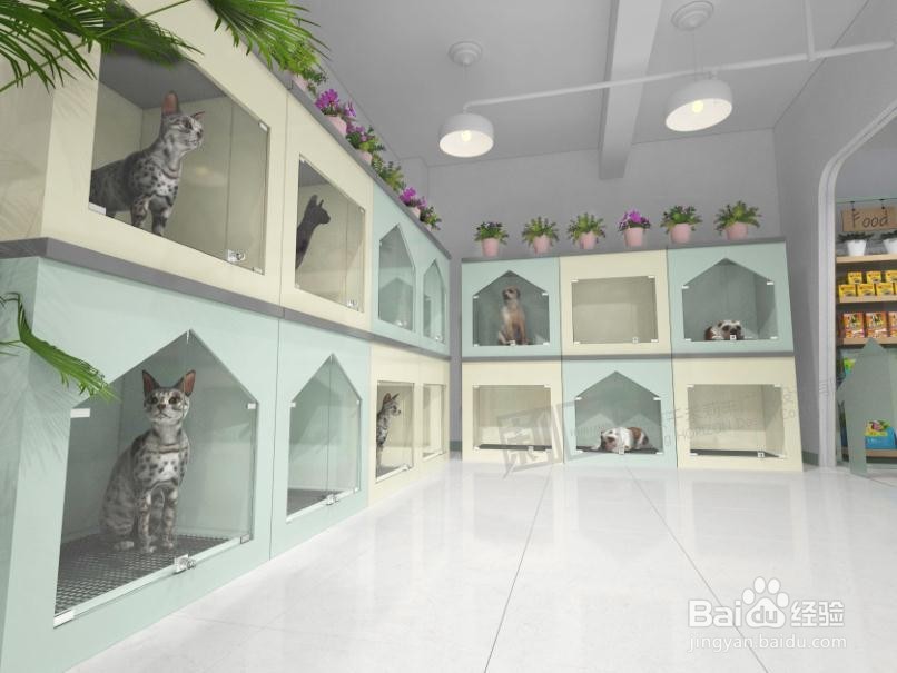 开宠物店需要学习什么？