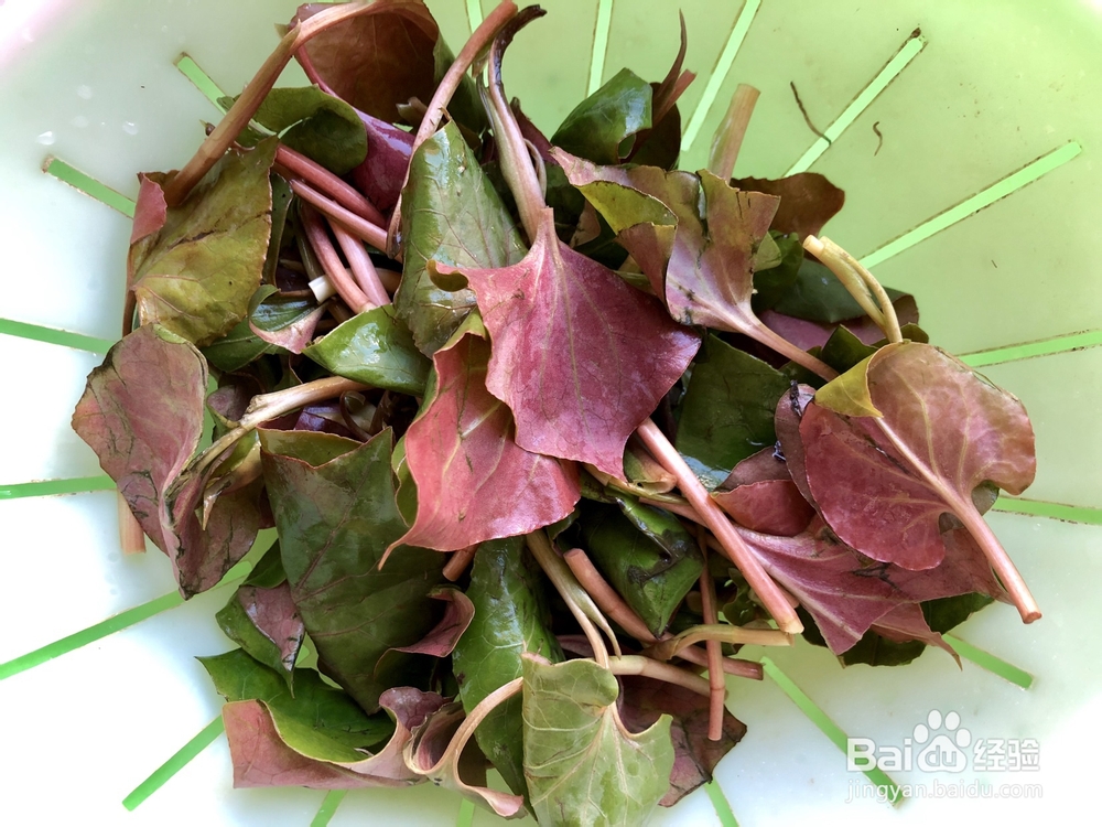 厨爸教你做鱼腥草耳根腊肉