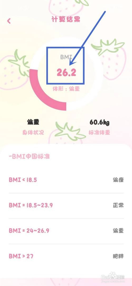 如何使用体重日记本APP查看BMI指数计算结果？