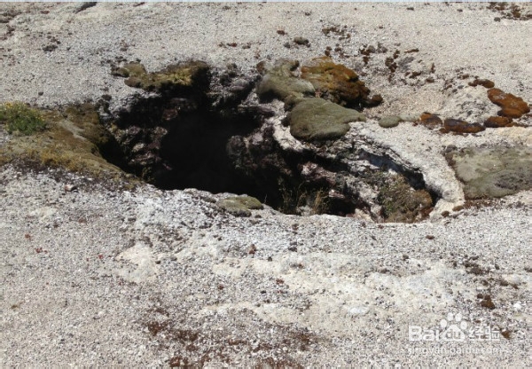 美国黄石公园自驾游需要注意哪些东西?