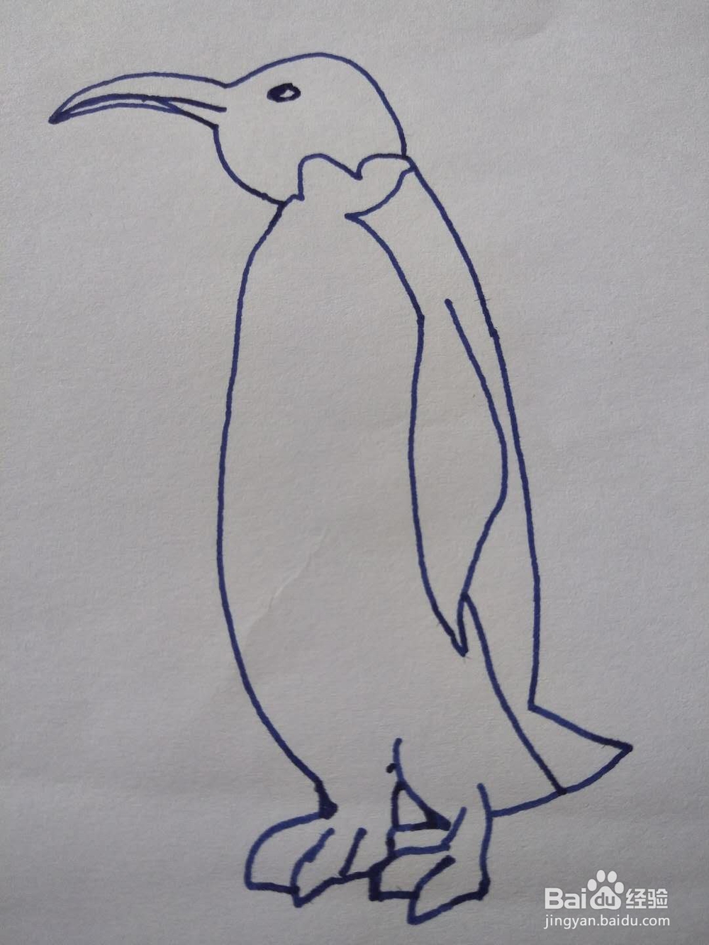 简笔画之企鹅