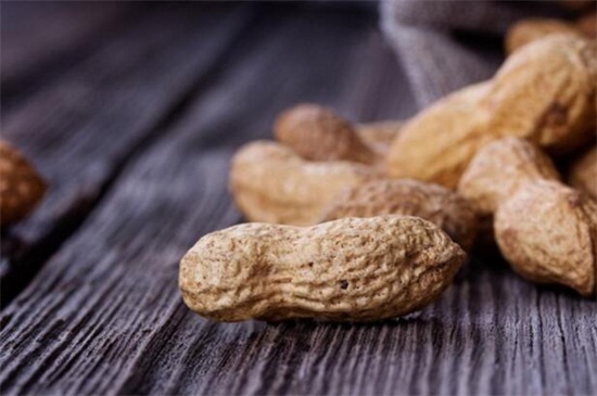 花生的成长变化过程是什么