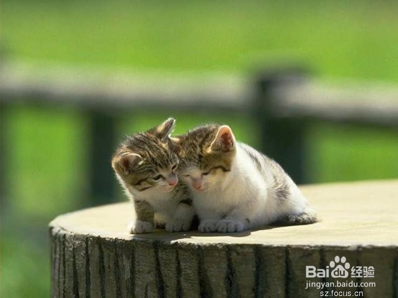 女朋友生日送什么礼物好