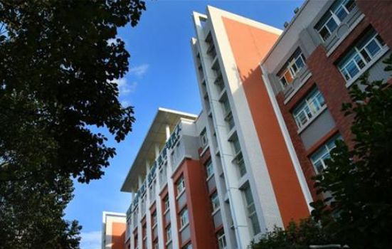 绵阳东辰国际学校初中部的班级分哪几种等级。