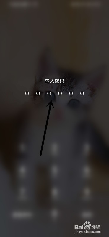 如何查看美团账户的购物车？