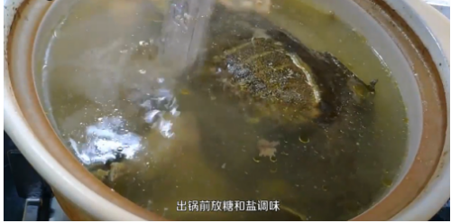 乌龟汤的做法大全