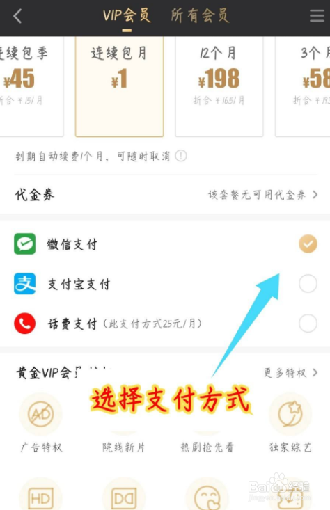 爱奇艺随刻版怎么开通VIP