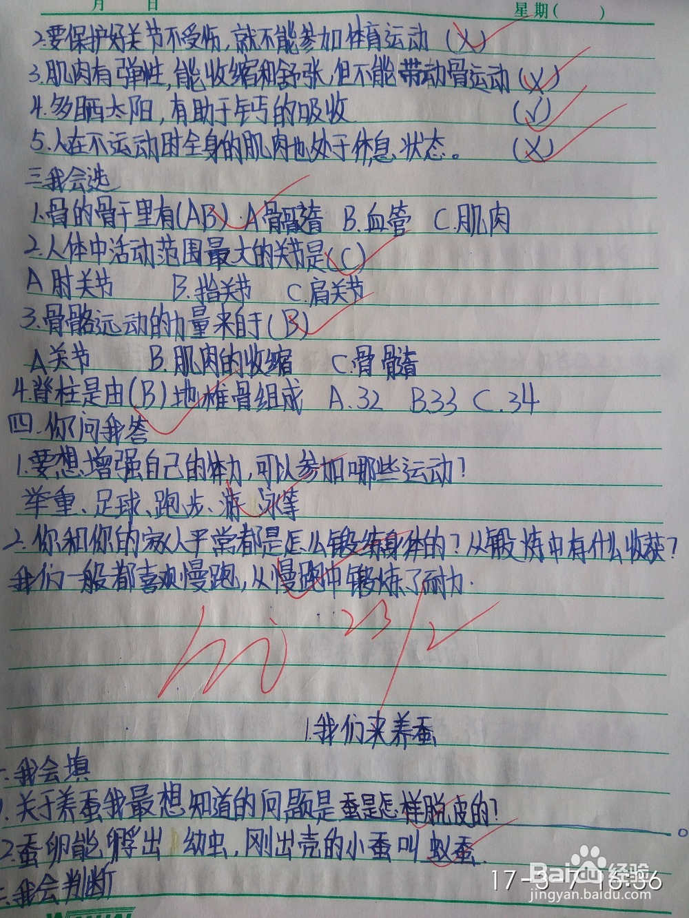 教师如何在公平优质教育中扮演好自己的角色