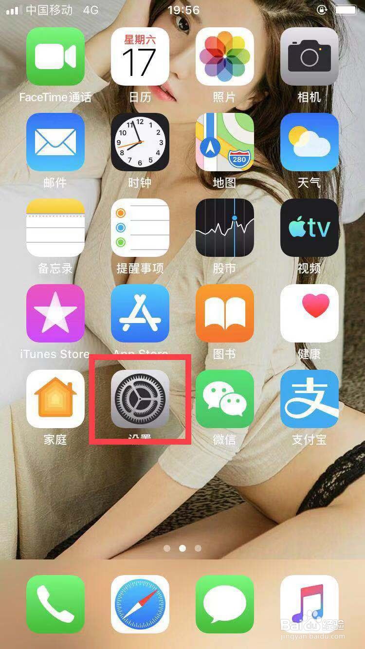 iPhone手机如何查询序列号