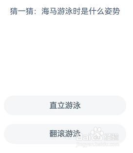 海马游泳时是什么姿势？神奇海洋8.15答案